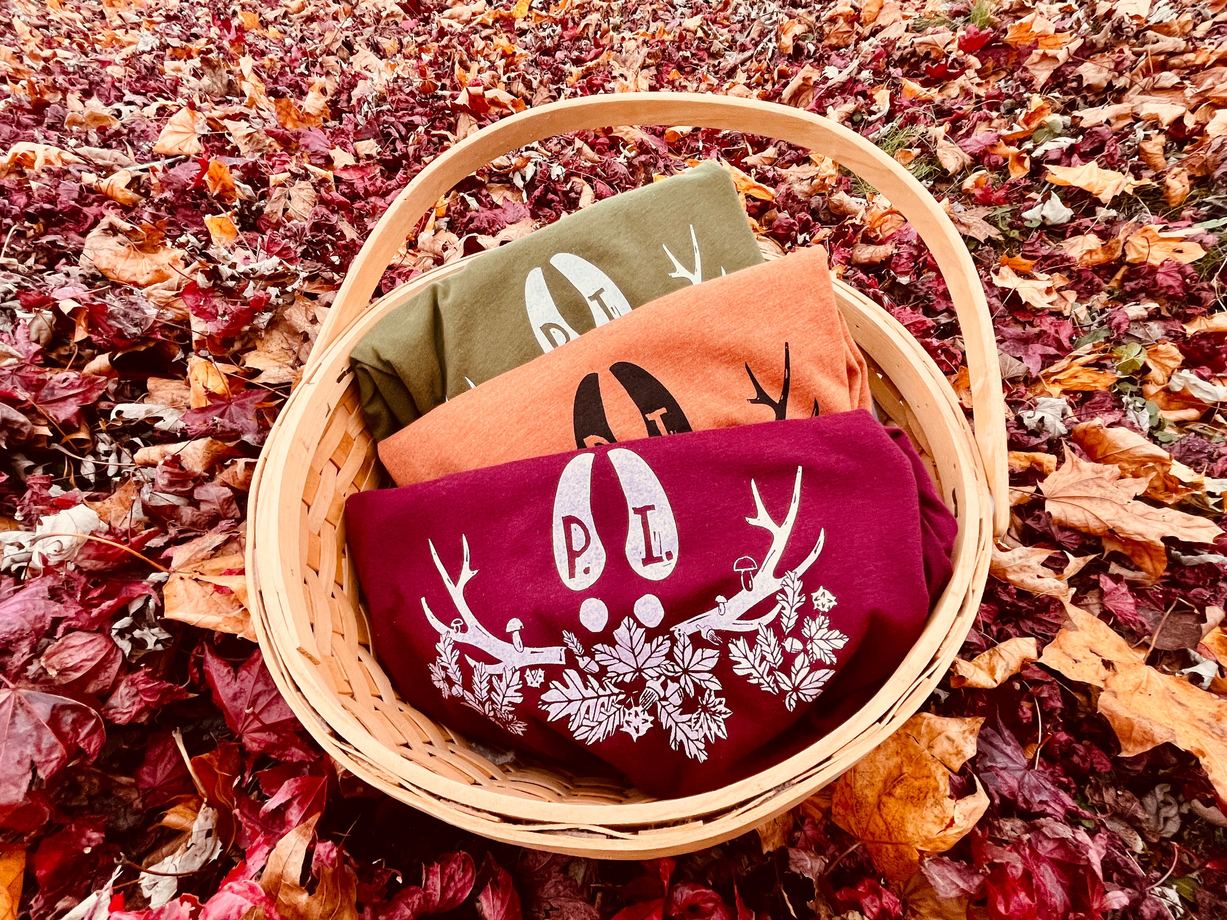 Fall Designs